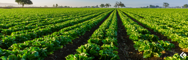 10个农场管理软件，适用于您的农业土地