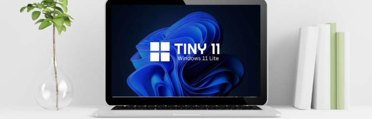 如何在您的电脑上安装Windows 11精简版（Tiny11）